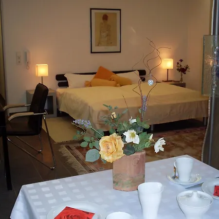 Апартаменты Deluxe Вайль-на-Рейне